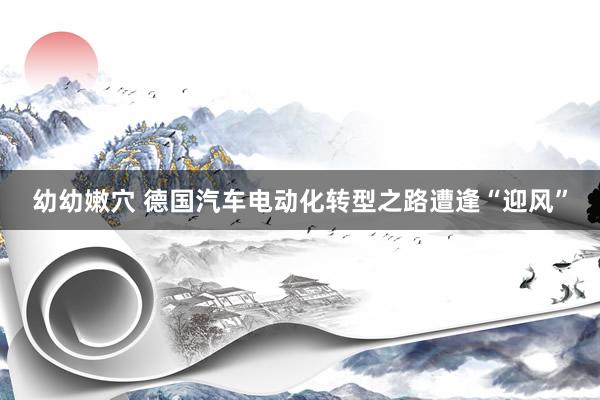 幼幼嫩穴 德国汽车电动化转型之路遭逢“迎风”