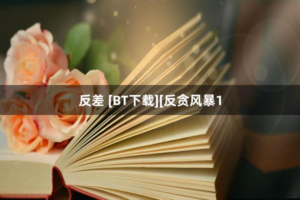 反差 [BT下载][反贪风暴1