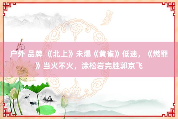 户外 品牌 《北上》未爆《黄雀》低迷，《燃罪》当火不火，涂松岩完胜郭京飞