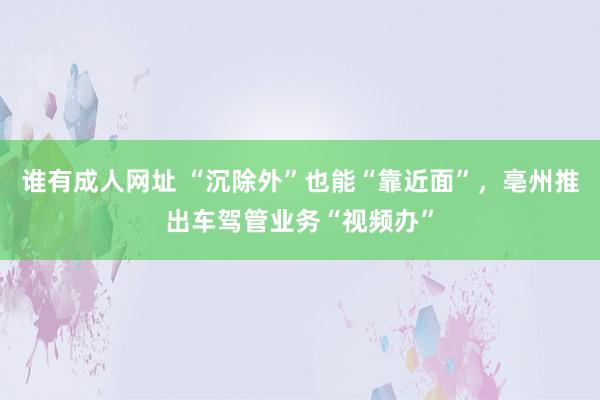 谁有成人网址 “沉除外”也能“靠近面”，亳州推出车驾管业务“视频办”
