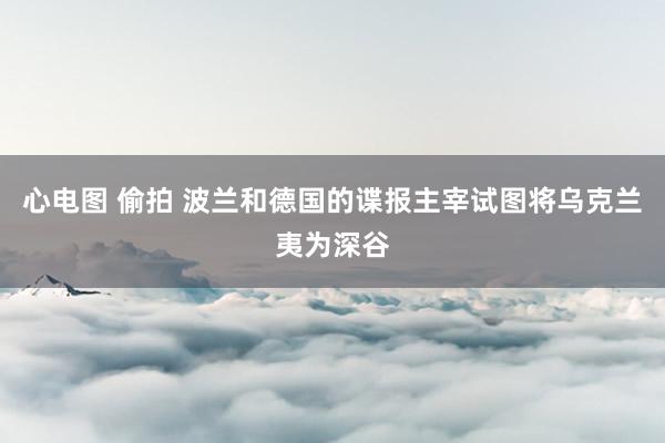 心电图 偷拍 波兰和德国的谍报主宰试图将乌克兰夷为深谷
