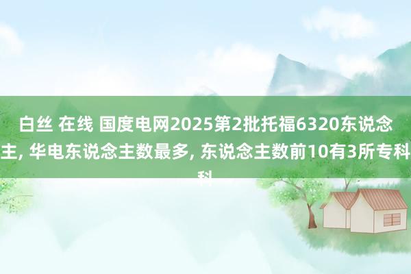 白丝 在线 国度电网2025第2批托福6320东说念主, 华电东说念主数最多, 东说念主数前10有3所专科